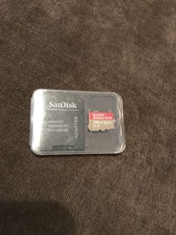 sandisk micro extreme plus 256gb