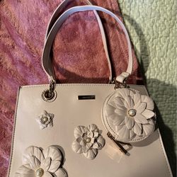 Aldo purse