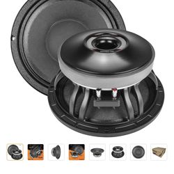 10"PRV Pro Speaker
