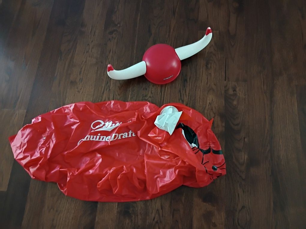 Chicago Bulls Memorabilia