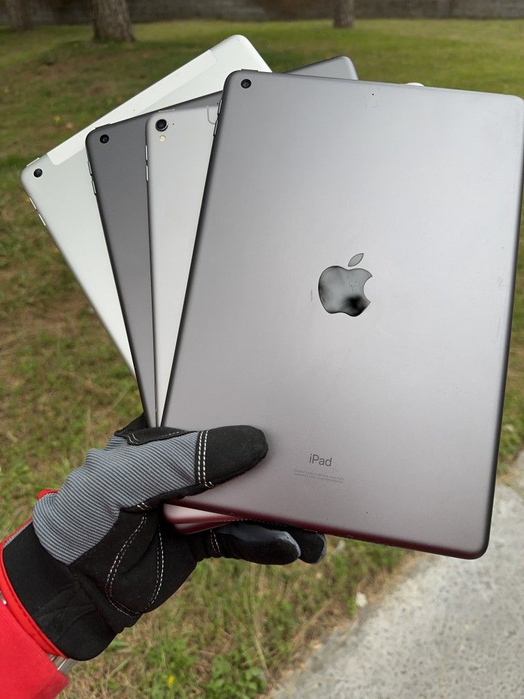 iPads 5 / 6 / 8 / Pro