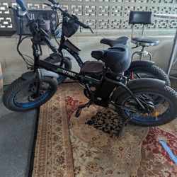 Ecotric Electric Bicycles. His & Hers