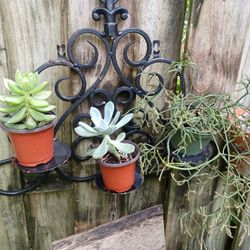 Metal Candle Holder Plants Hanging Wall Mounted