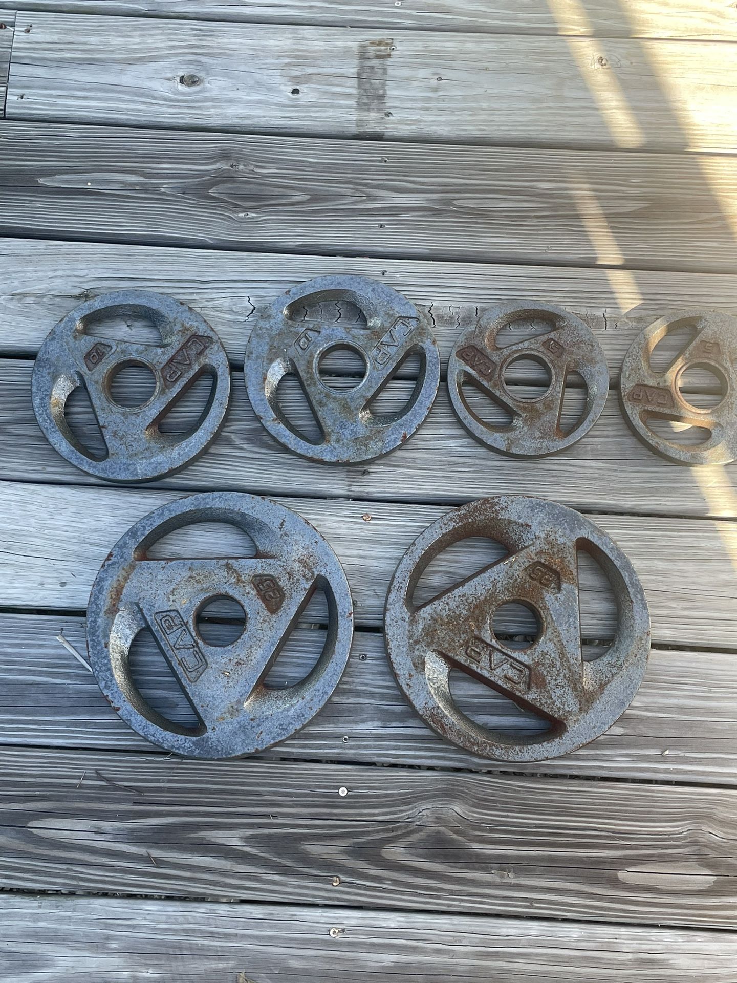 Starter Weight bench with weights and barbell Exercise