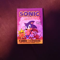 Sonic the hedgehog 