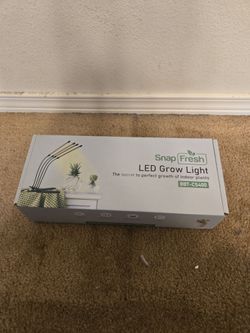 LED lights