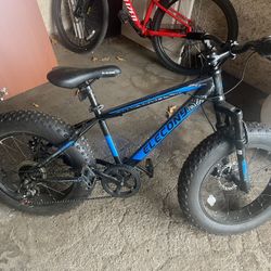 Elecony Fat Tire Kids Bike