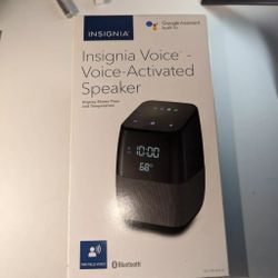 Insignia NS-CSPGASP Bluetooth Speaker with Google Assistant - Black With Adapter