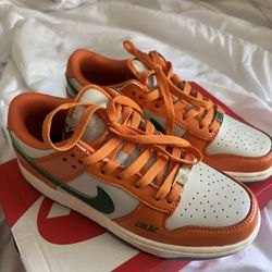 FAMU x Nike Dunk Lows