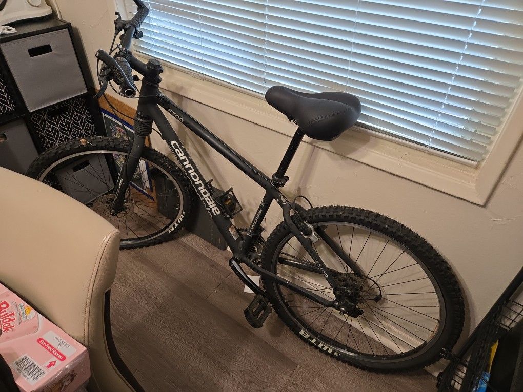Vintage Cannondale