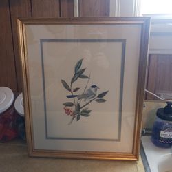 This A Beautiful Picture There Is Some Words On The Back