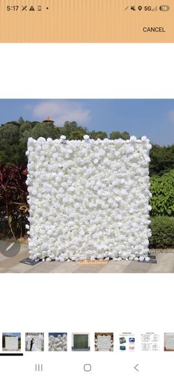 3D Flower Wall Backdrop 10×10