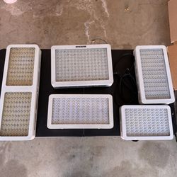Lights for Growing 2000W, 1500W, 1200W,  1000W. 12