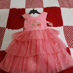Strawberry Shortcake Toddler Dress - New