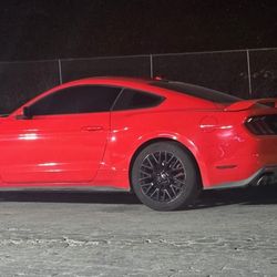 Mostang Gt 2019