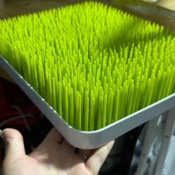 Baby Bottles Drying Grass