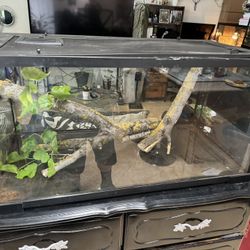 40 gallon reptile glass terrarium tank with heat mat/thermostat and custom cut wood