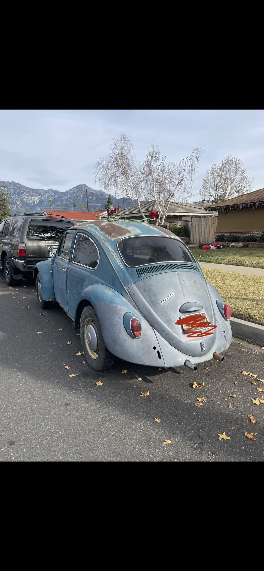 Vw Bug