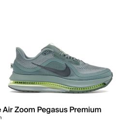 Nike Air Zoom Pegasus Premium HQ2592 009 Size 11