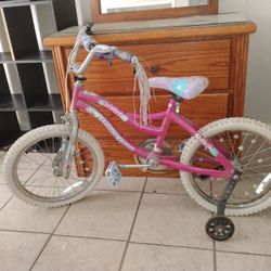 Girl Bike With Training Wheels