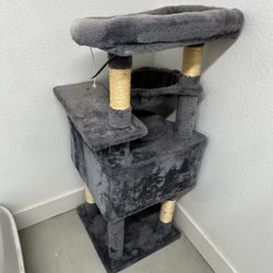 Cat Scratcher And Potty Bath 