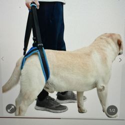 Dog Rear End Support Harness