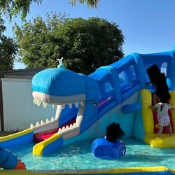 Costco Water Slide 