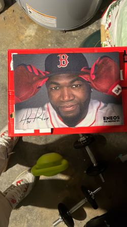 David Ortiz Pic