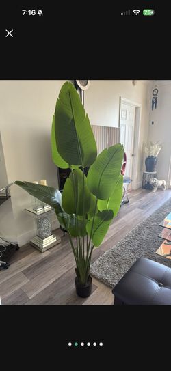 Pretty artificial plant 5 ft tall! Brand new