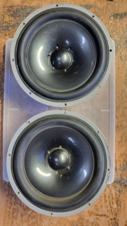 JL Audio 8 inch woofer pair