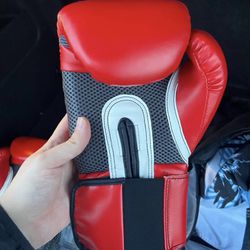Adult Boxing Gloves For Sale