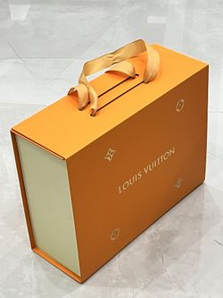 Brand New Louis Vuitton Box Bag