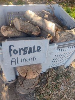 Almond BBQ/fire wood