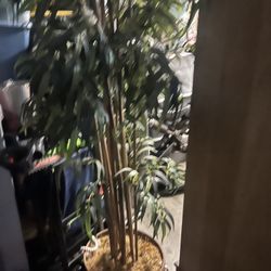 Bamboo Decorative Tree 