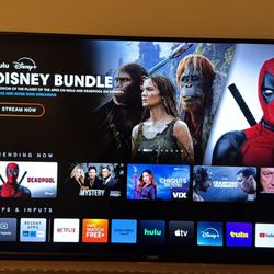 55 in Vizio Television UHD 