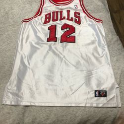 Chicago Bulls 