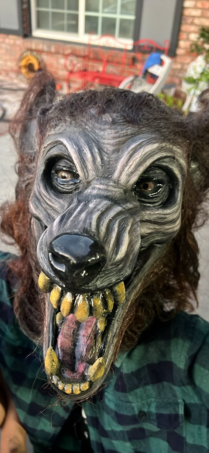 Animatronic werewolf jump, scare