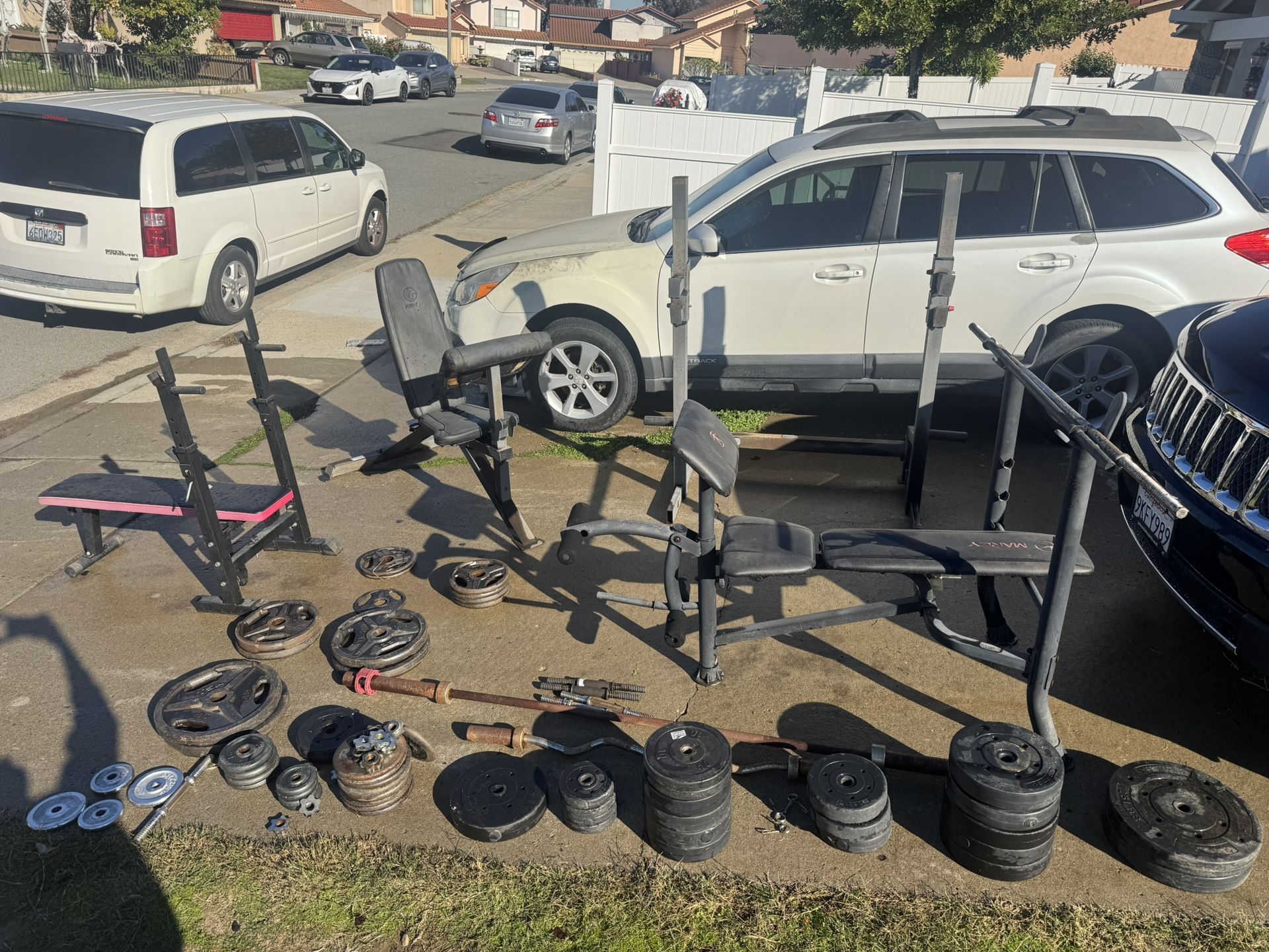 Pesas / weights for Exercise