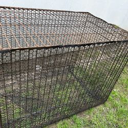 Extra Large Cache For Dog 🐕 Or Chicken 🐓 