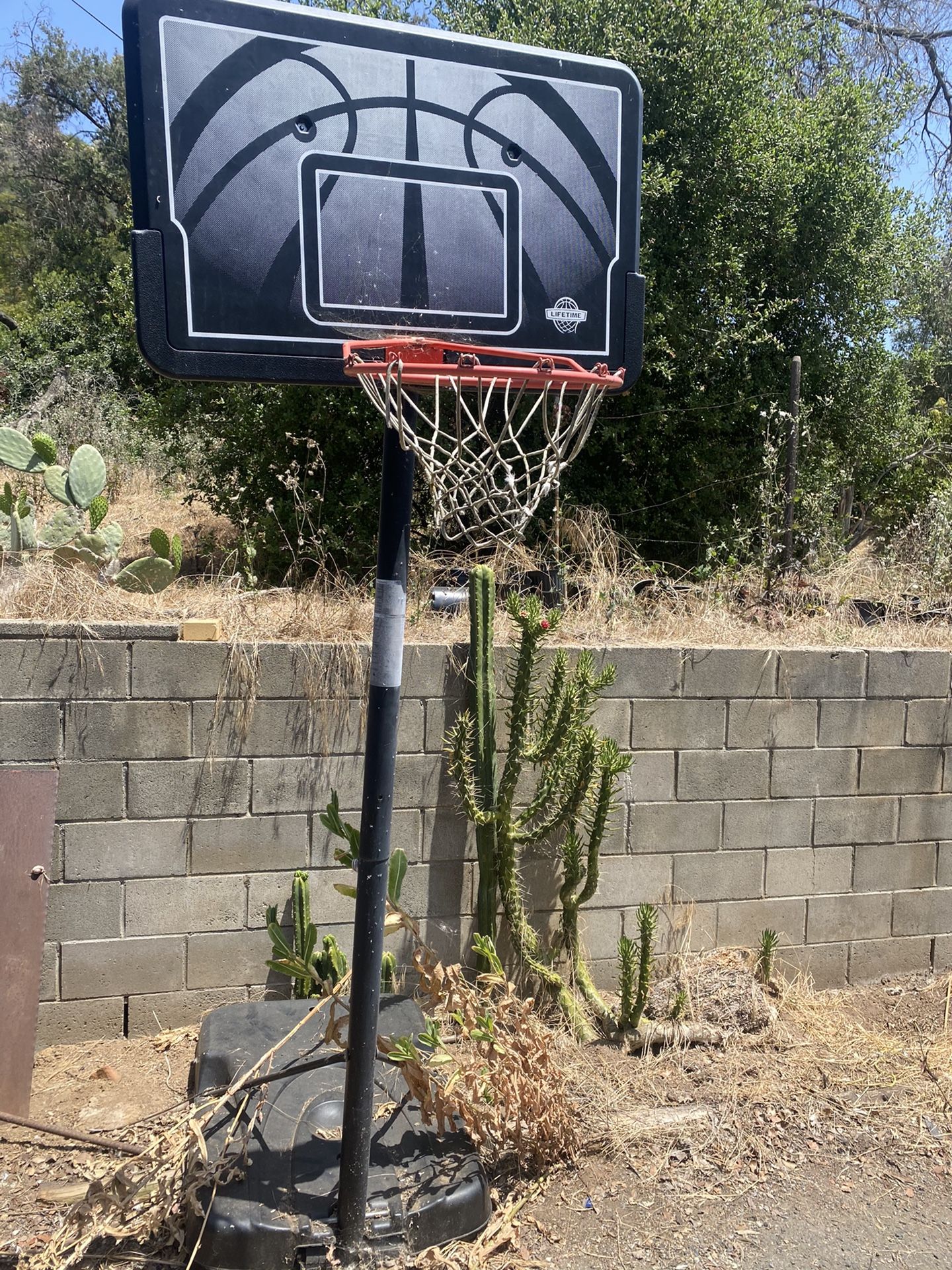 Basketball Hoop Adjustble