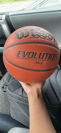 Wilson Evolution Basketball