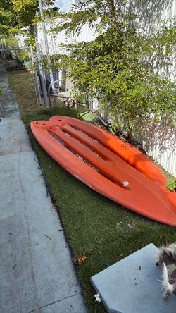 Lifetime Paddle board XL