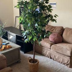 Artificial Ficus Tree w/ Woven Basket 