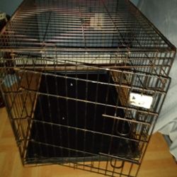 Used dog hotsell crate for sale