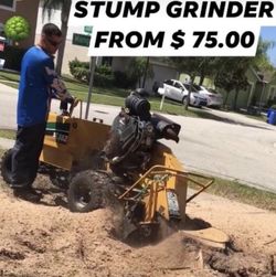 Stump Grinding 