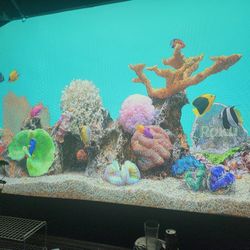 Just Lazer Projector 4000 Ansi Lumins