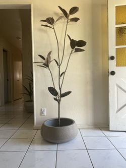 Large Vessel Ceramic Planter 18” Wide By 9” Height 