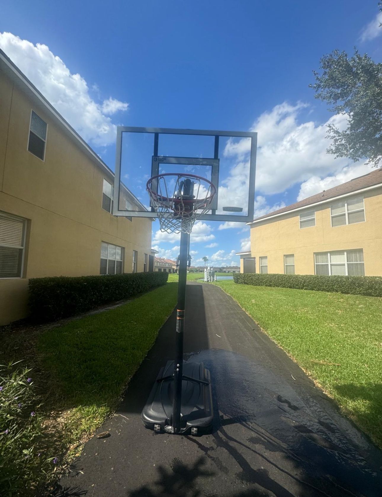Basketball  Hoop 