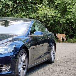 2013 Tesla Model S 85 (Low mileage + Free Lifetime Supercharging)
