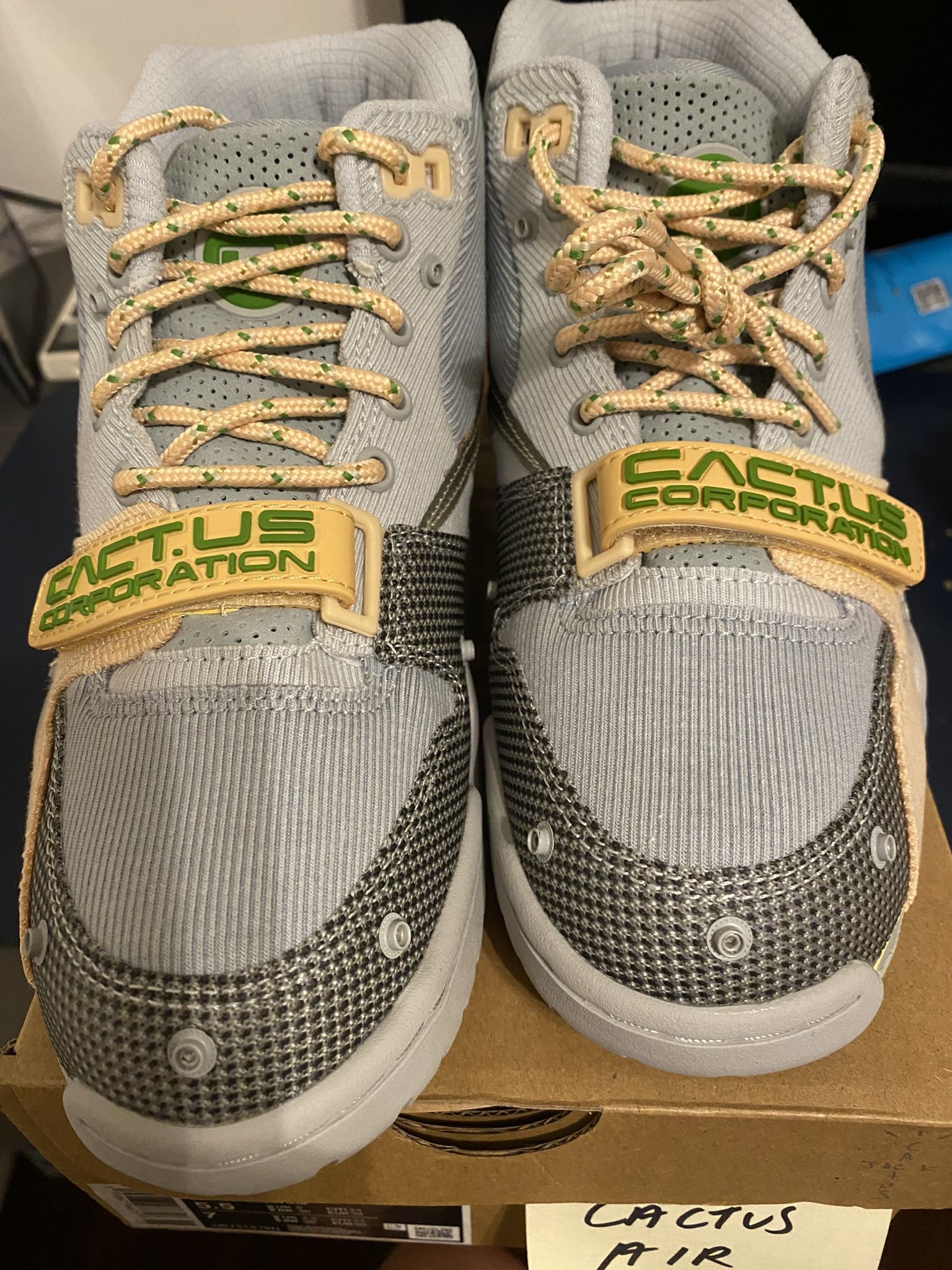 Travis Scott Cactus